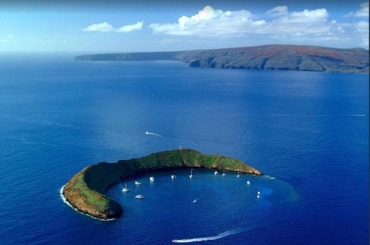 Tropical Maui Kamaole B-Bldg Διαμέρισμα Wailea  Εξωτερικό φωτογραφία
