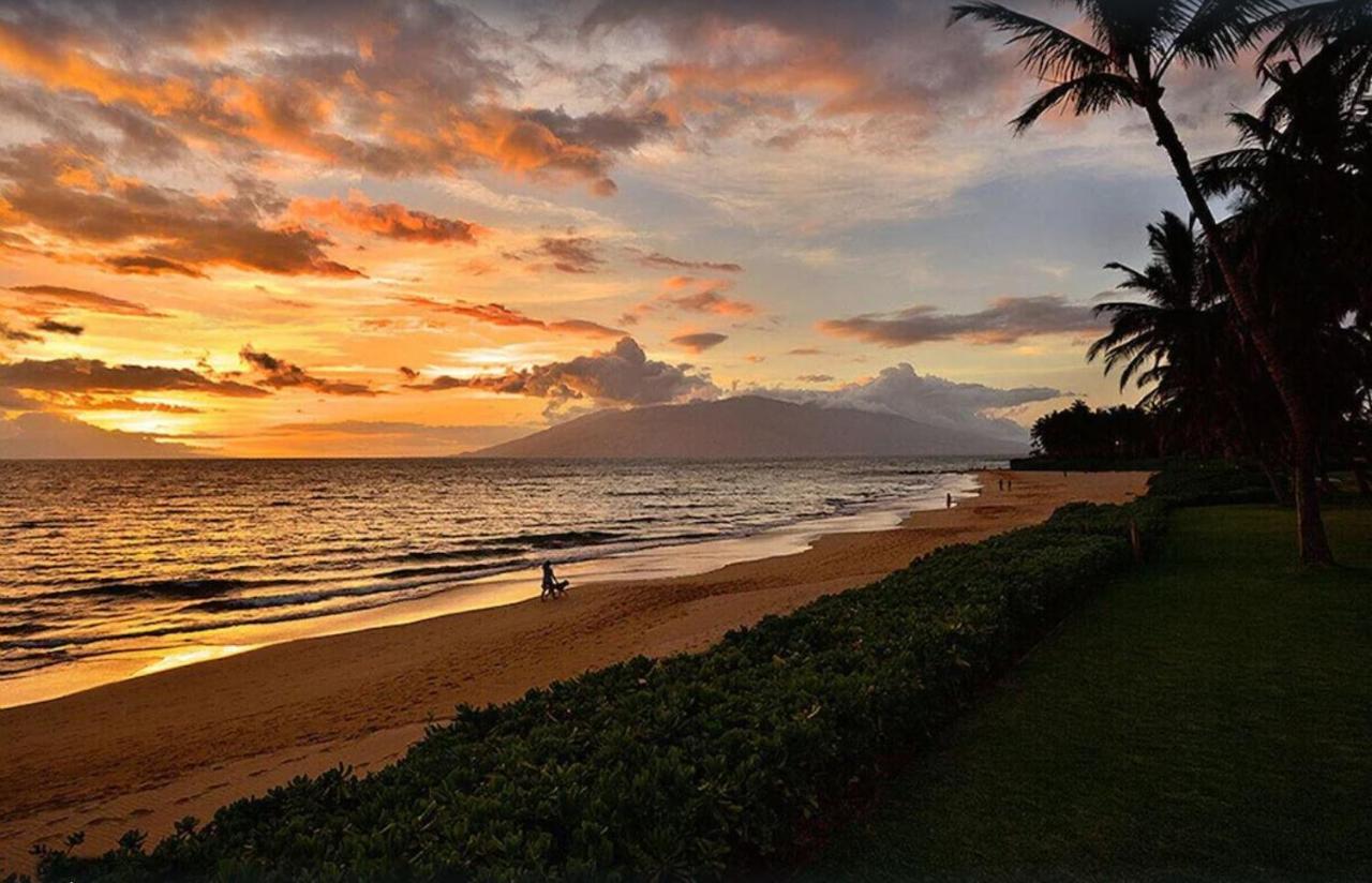 Tropical Maui Kamaole B-Bldg Διαμέρισμα Wailea  Εξωτερικό φωτογραφία