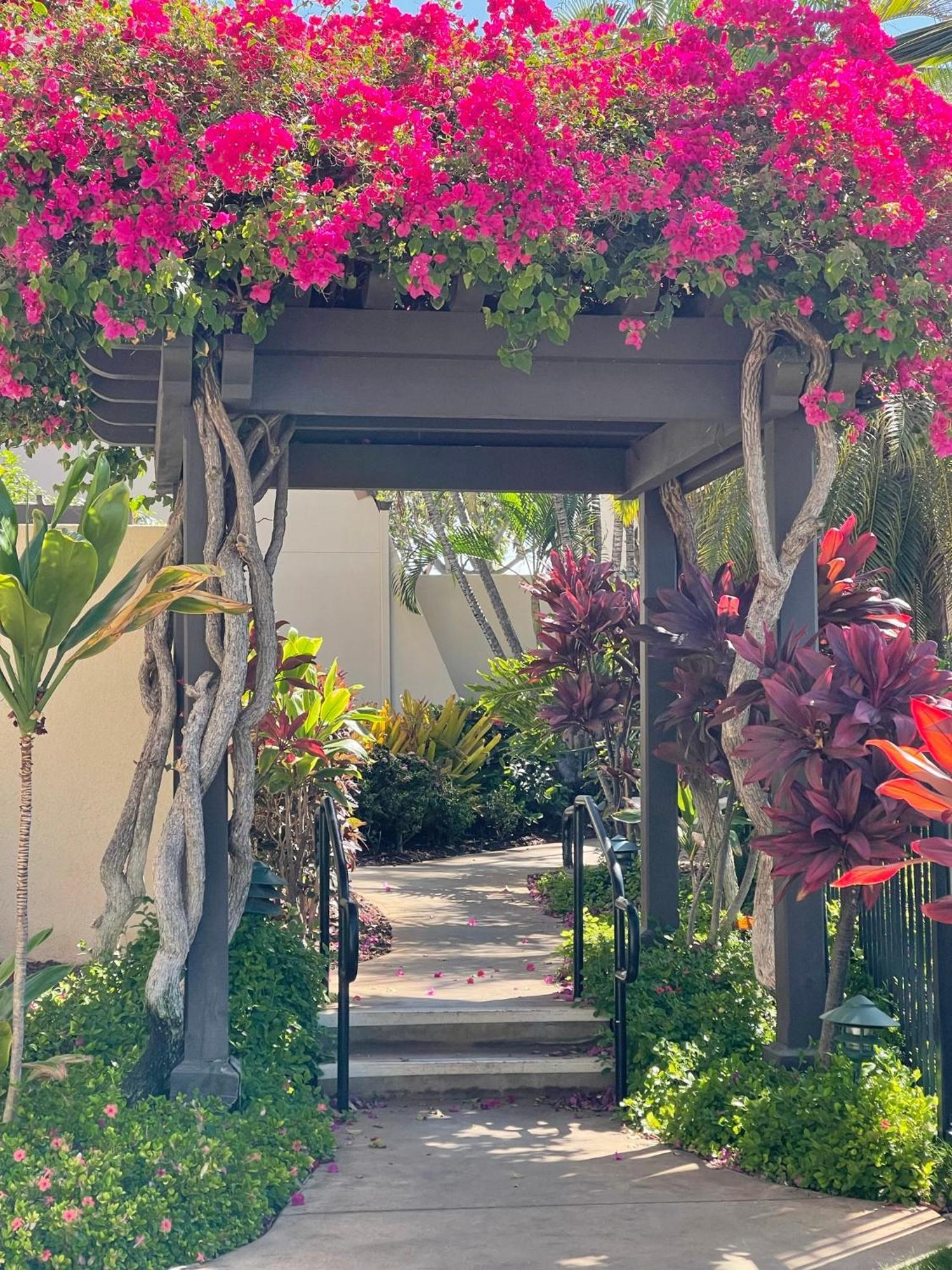 Tropical Maui Kamaole B-Bldg Διαμέρισμα Wailea  Εξωτερικό φωτογραφία